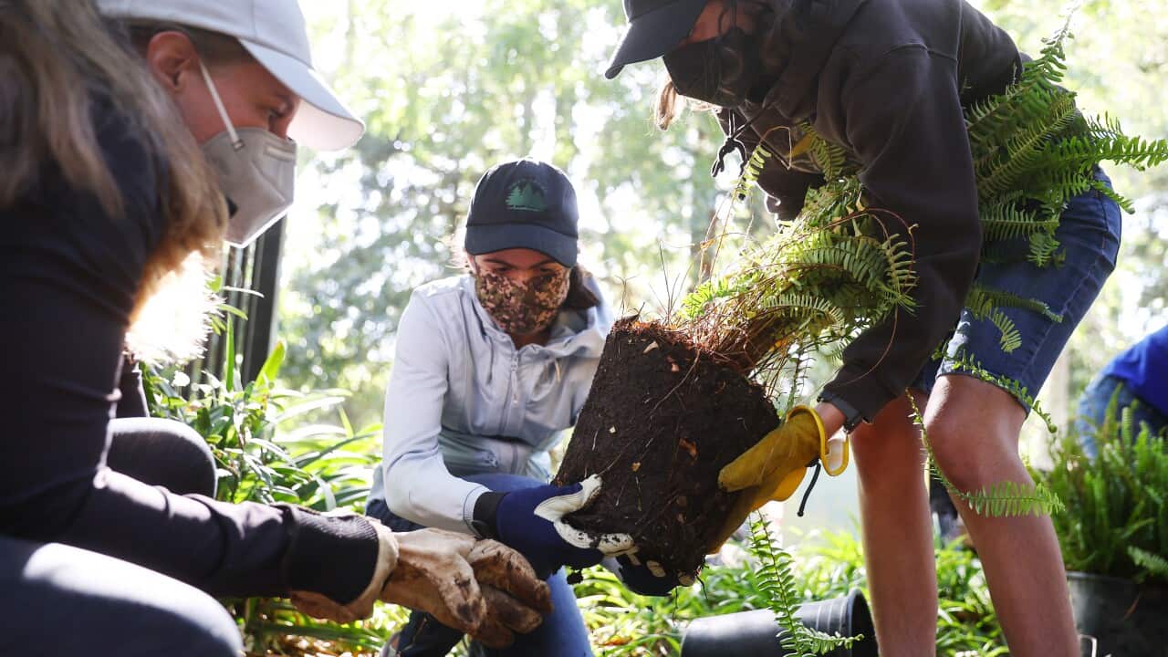 Image for read more article 'READ MORE'