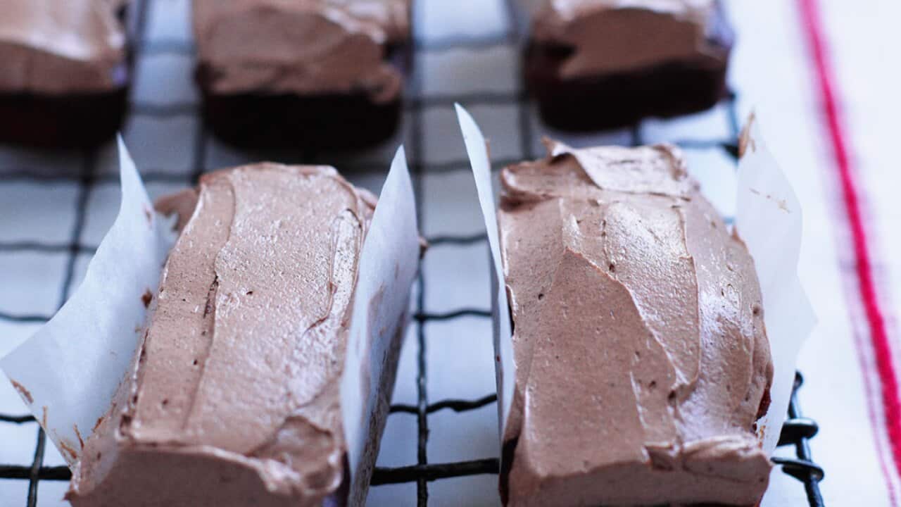 Cocoa sponge
