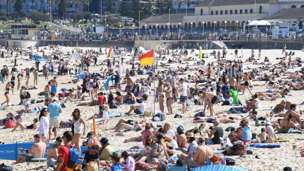 Sydneysiders Enjoy Warmer Than Average August Weather