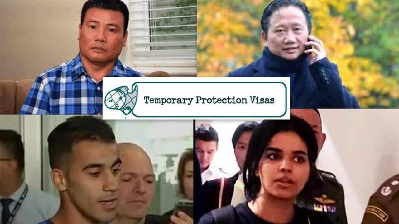 Visa protection seekers