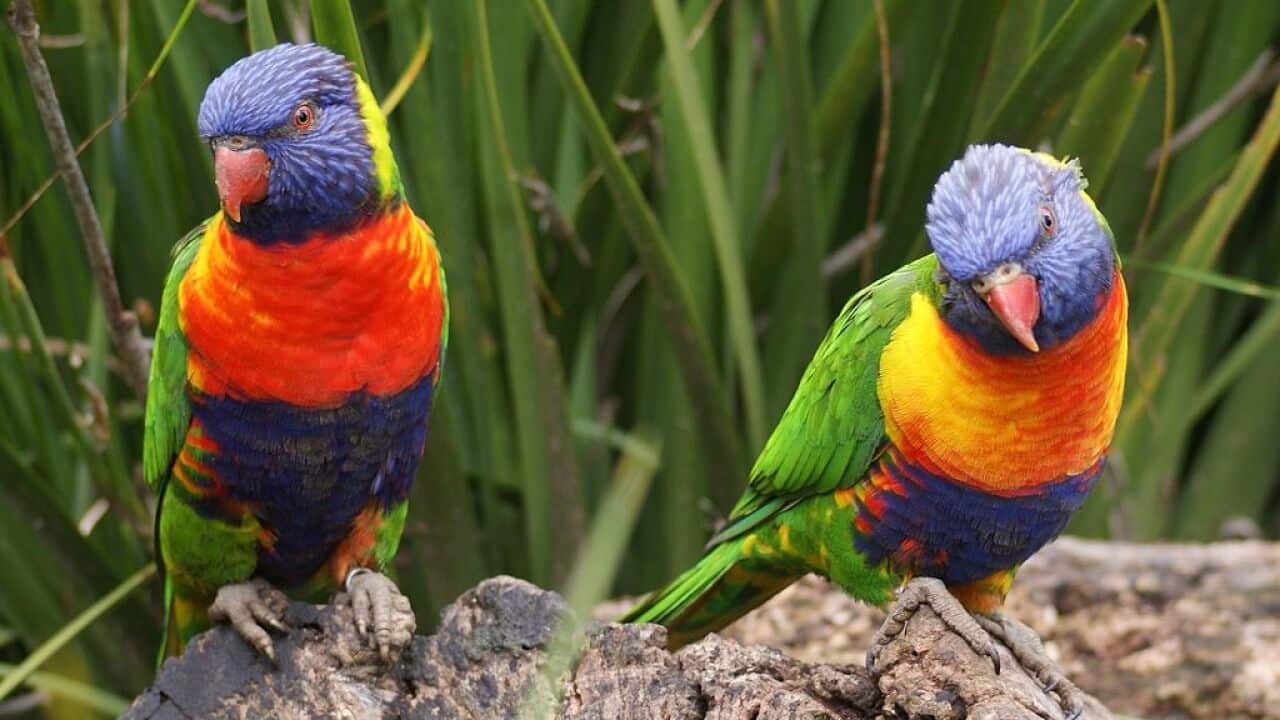 Image for read more article 'İlginizi Çekebilir'