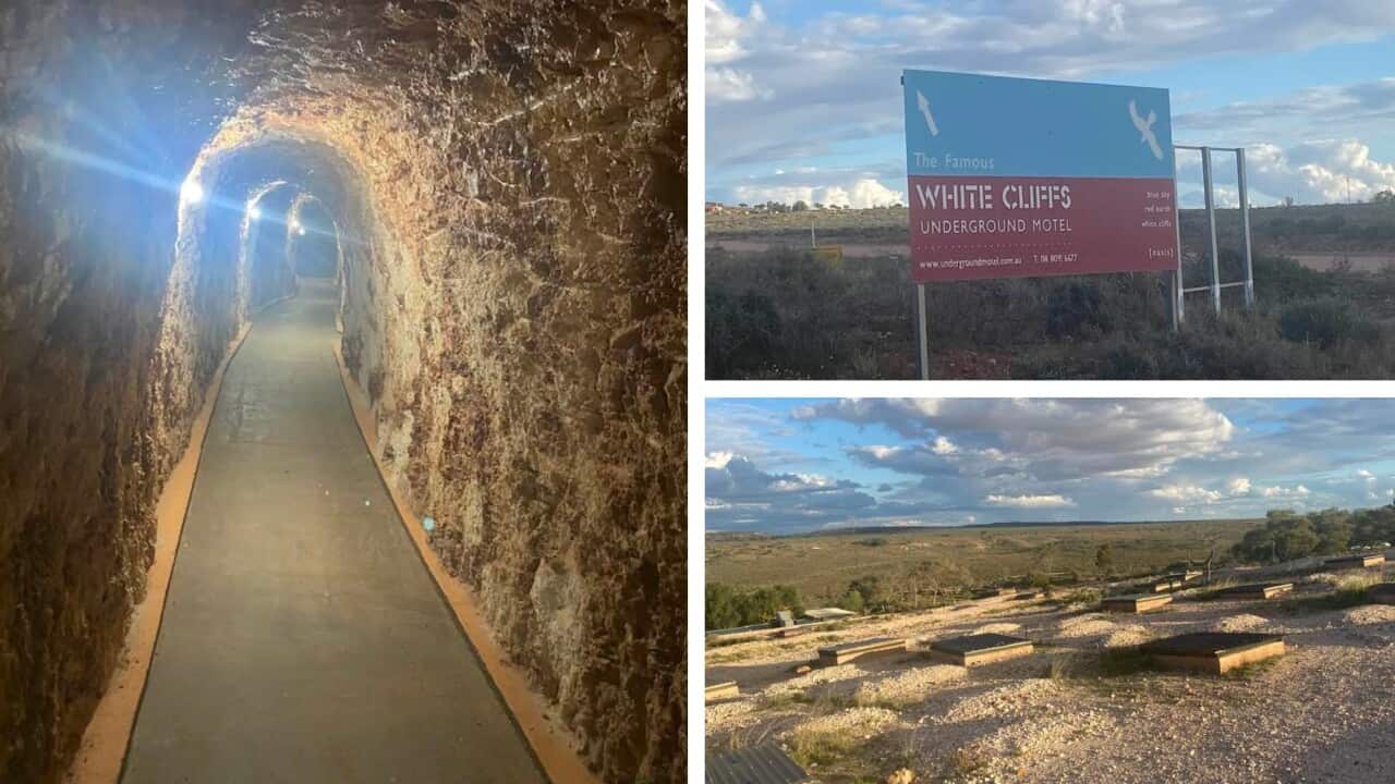 Image for read more article ''