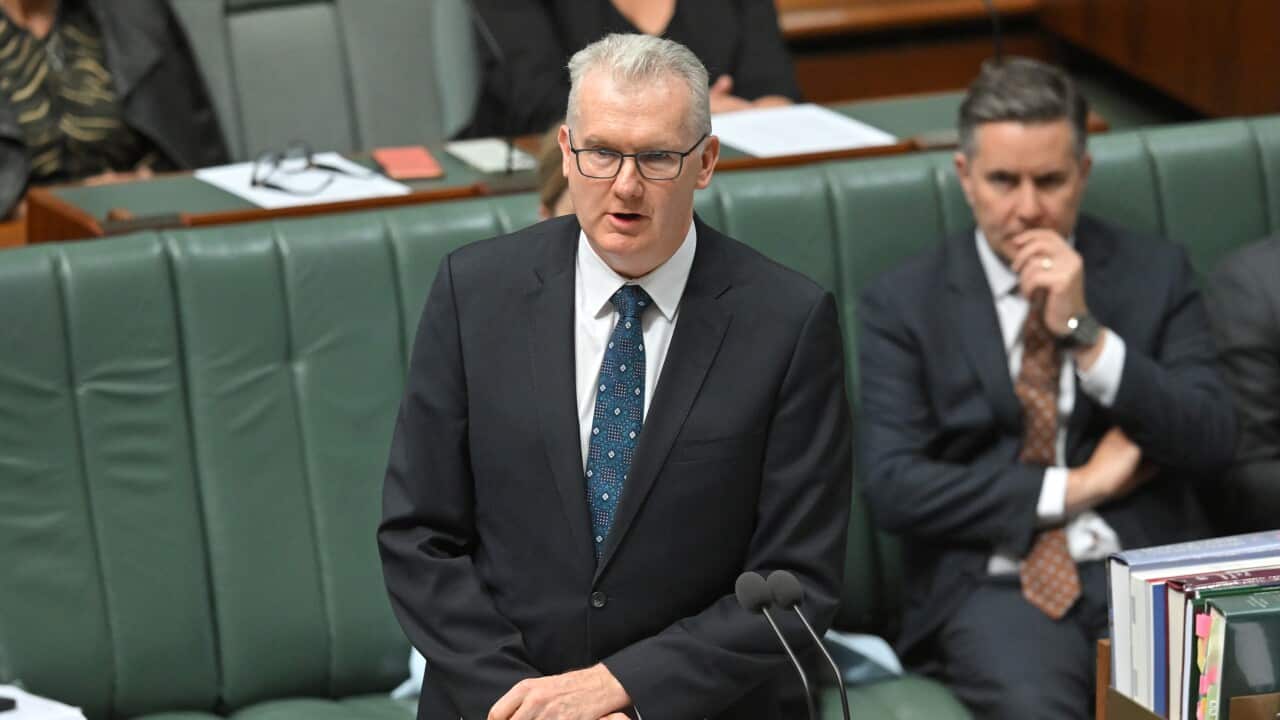 A man stands in front of microphones, in front of tiered green benches where other people sit