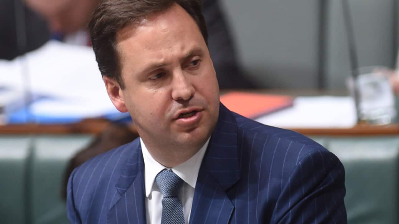 Australia's Trade Minister Steve Ciobo