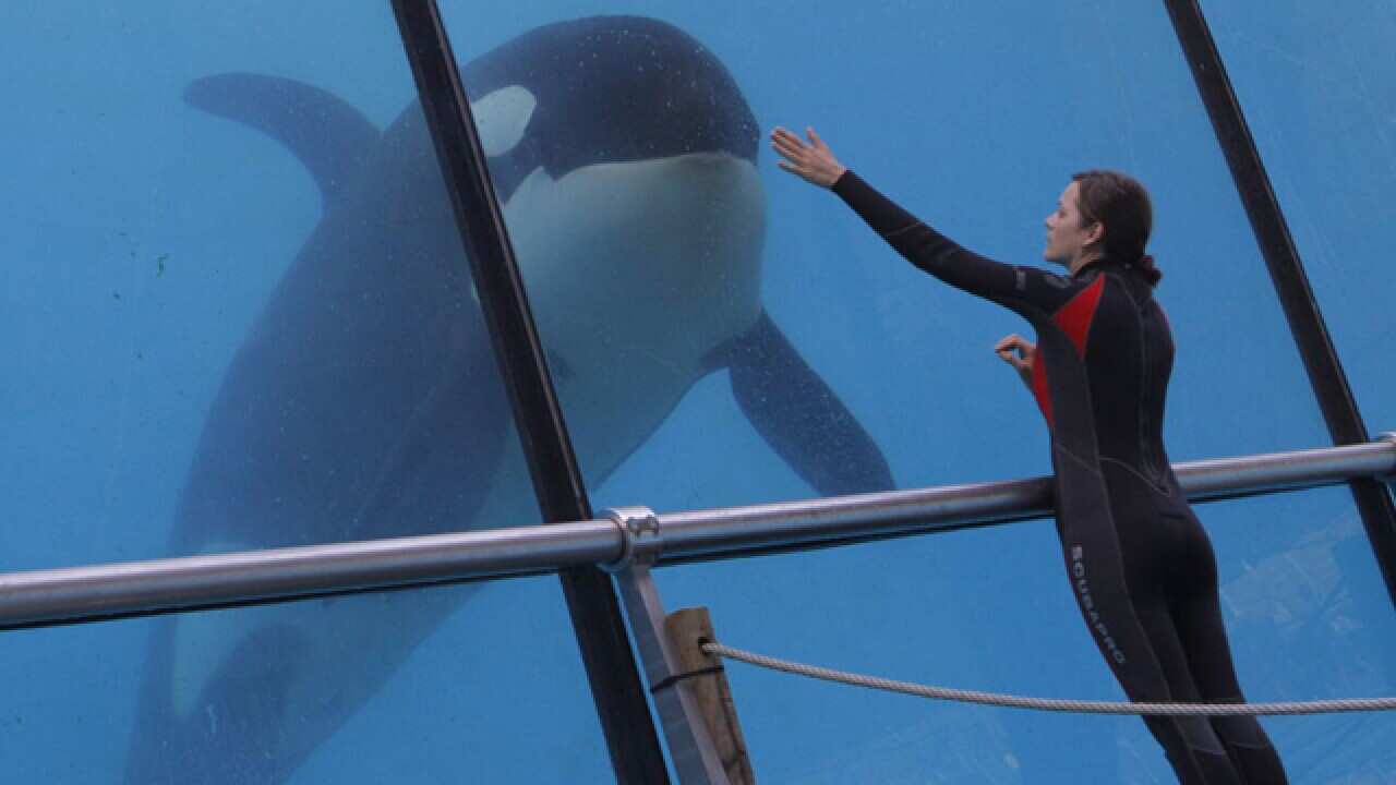 Rust-and-Bone_640_3_522532607