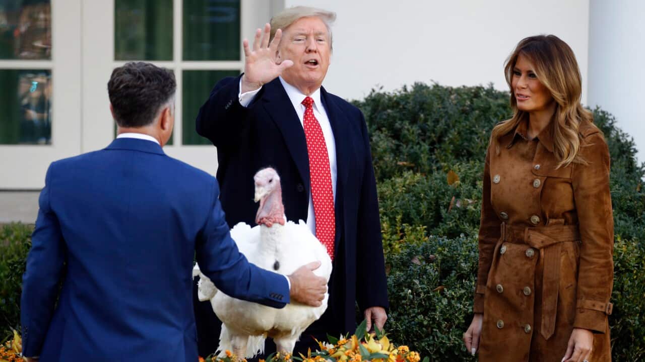 President Donald Trump waves after pardoning Butter, the national Thanksgiving turkey
