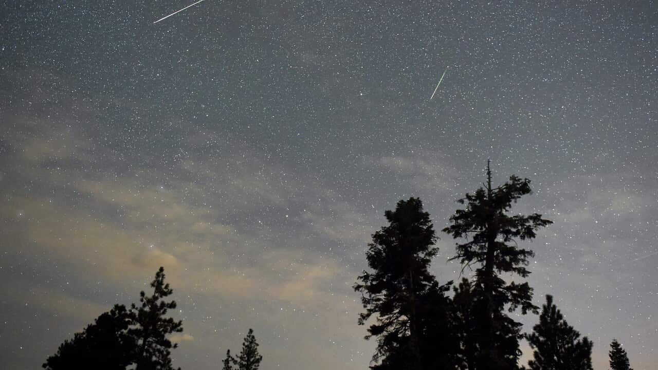 A meteor shower with trees in the foreground