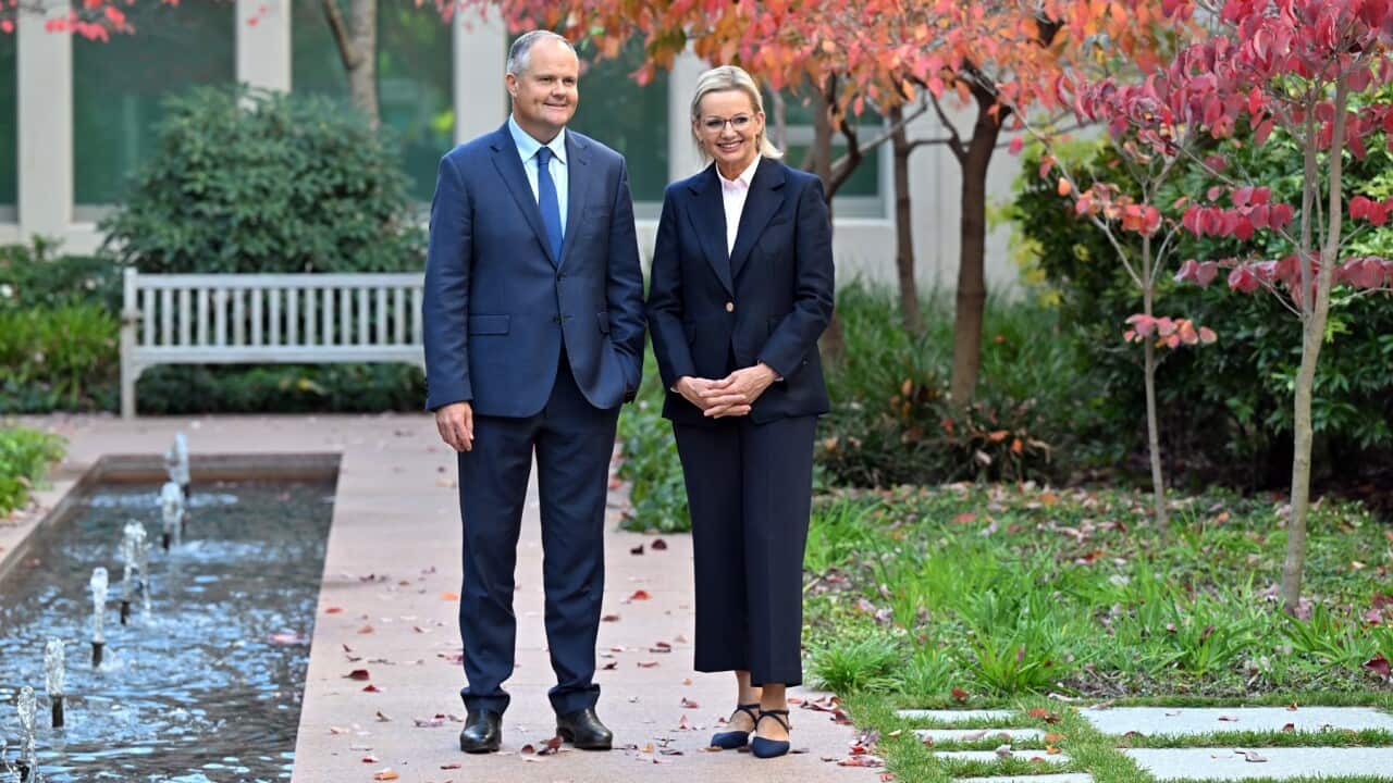 SUSSAN LEY PORTRAIT