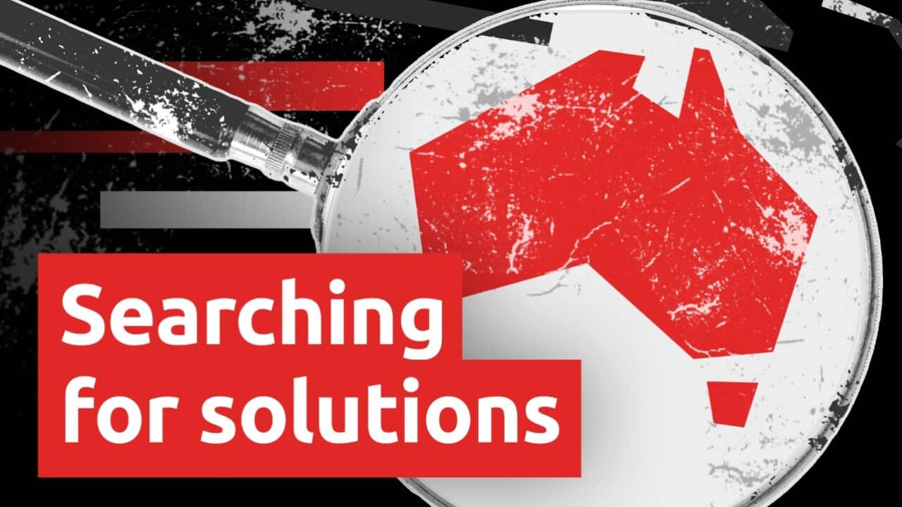 thumbnail_To the Extreme Episode Searching solutions (SBS).jpeg