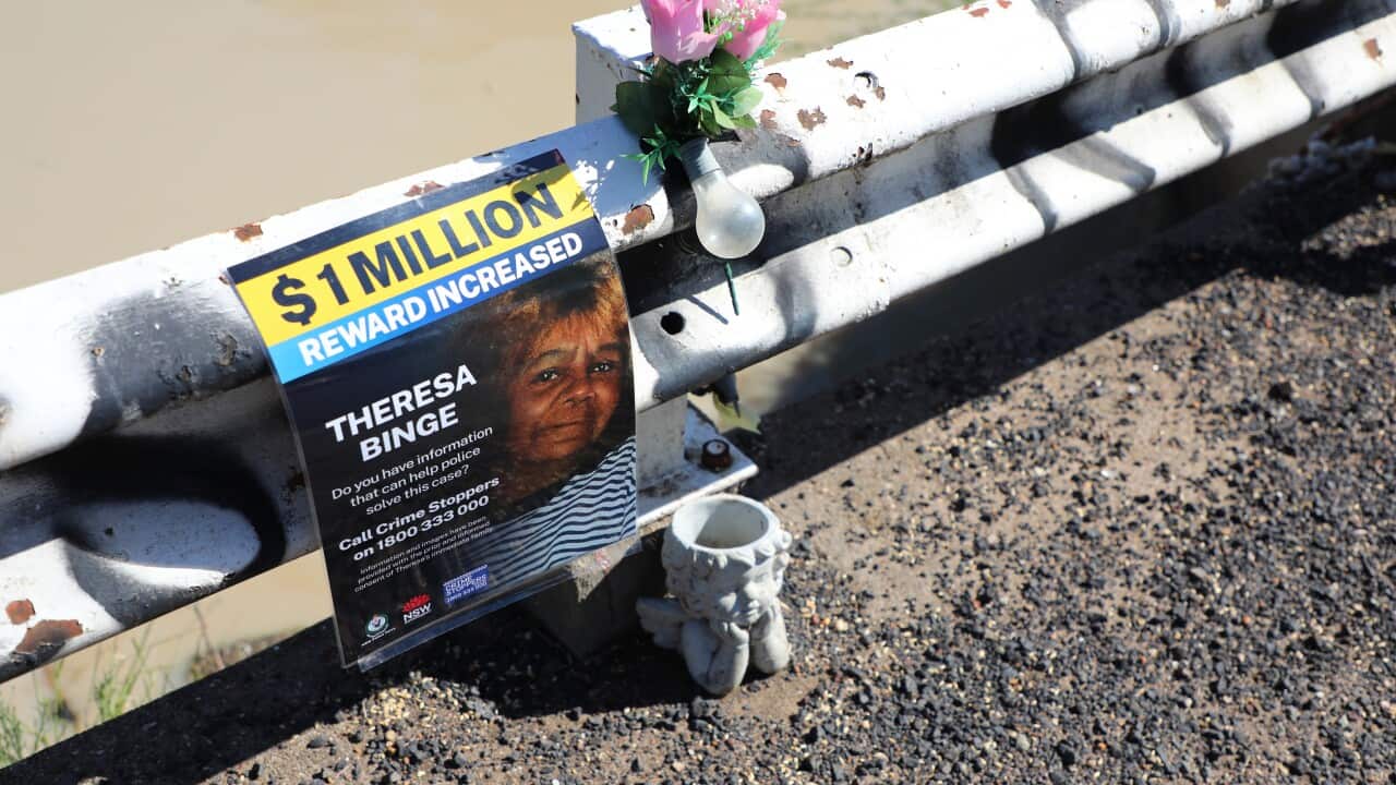 theresa binge cold case murder