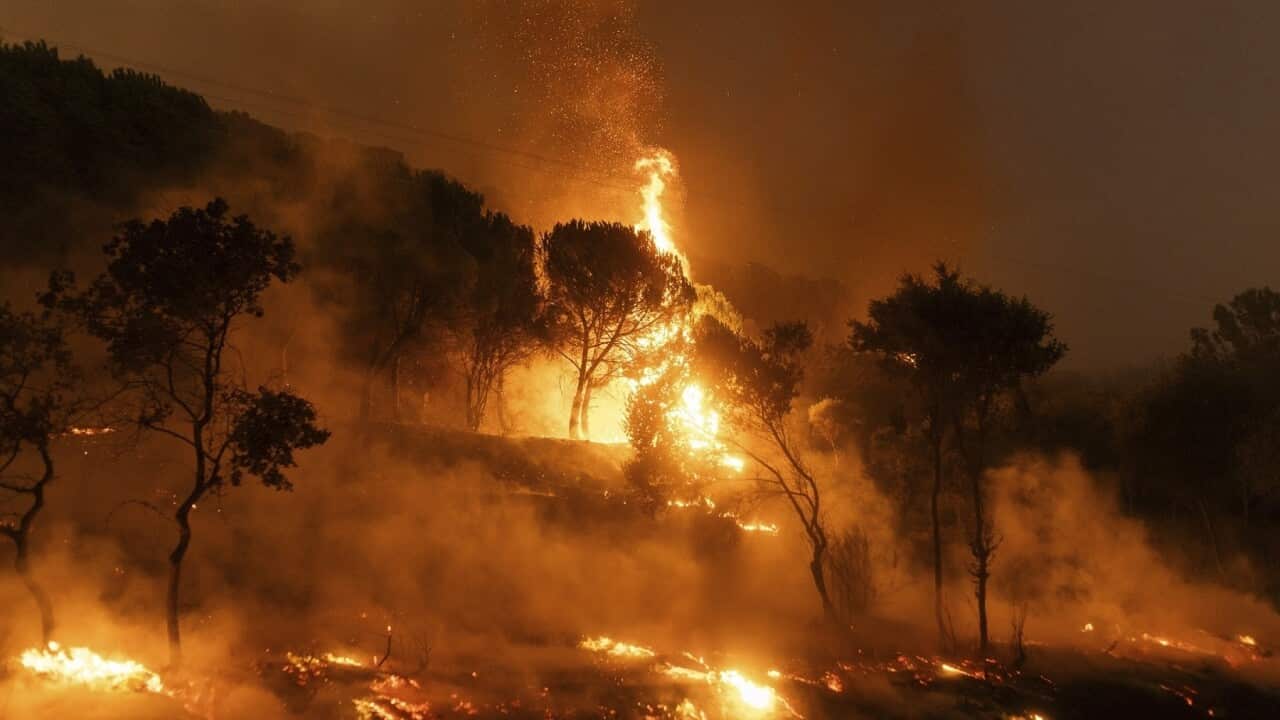APTOPIX Greece Wildfires