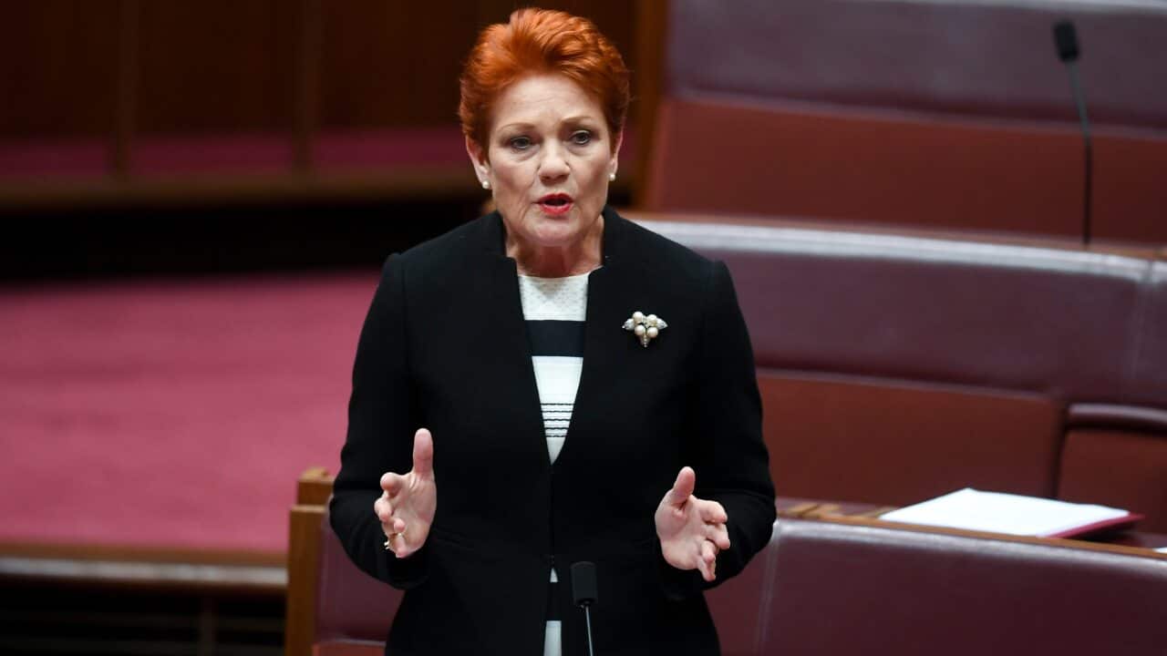 One Nation party leader Pauline Hanson makes a statement after a vote to suspend Australian Greens leader, Senator Richard Di Natale from the Senate at Parliament House in Canberra, Tuesday, November 27, 2018. (AAP Image/Lukas Coch) NO ARCHIVING
