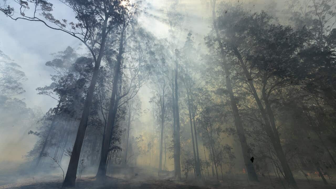 Image for read more article 'READ MORE'