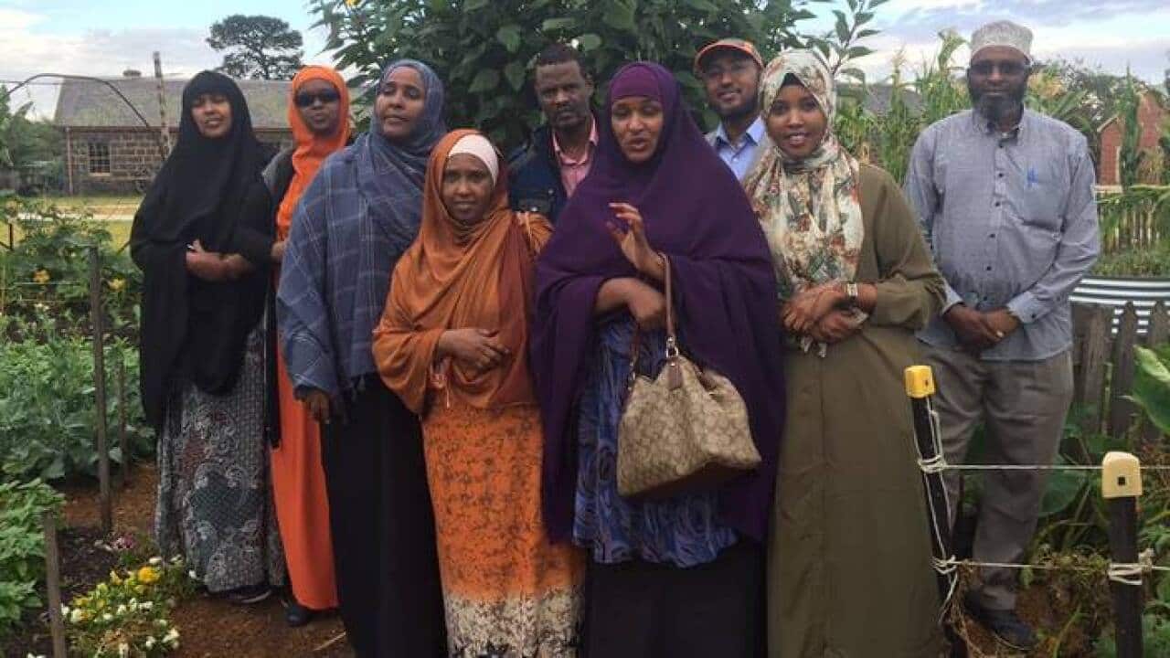 Wydnham Somali community