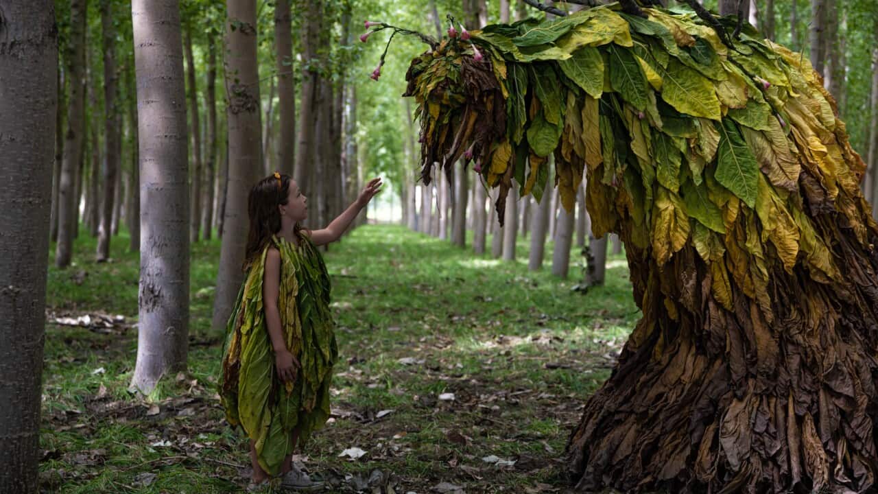 Image for read more article ''