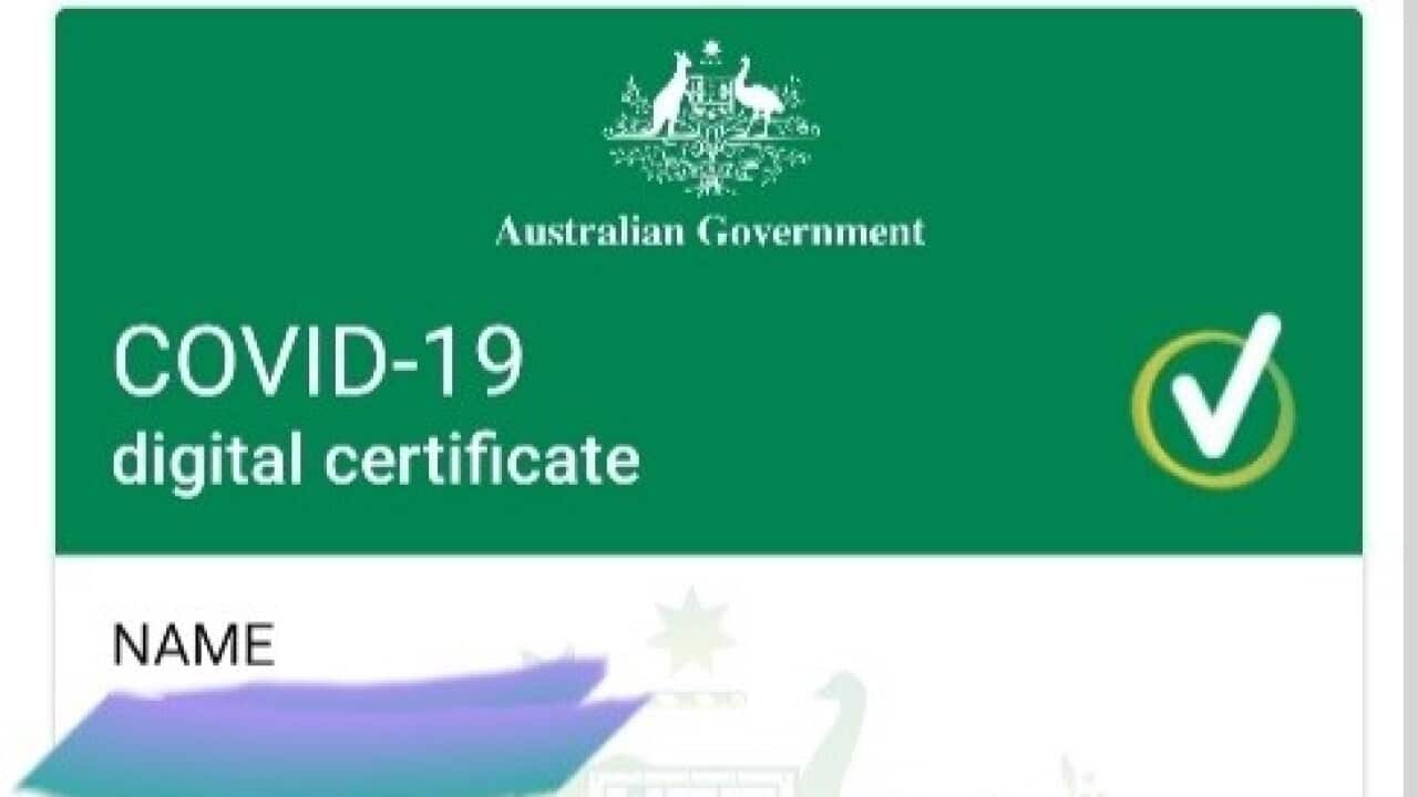 COVID-19 vaccine certificate - KY (SBS Hmong)