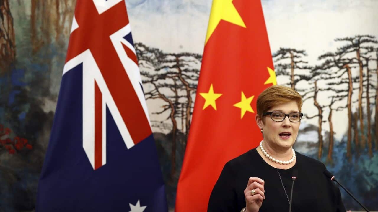 Australian Foreign Minister Marise Payne speaks during a joint press conference with Chinese Foreign Minister Wang Yi in China.