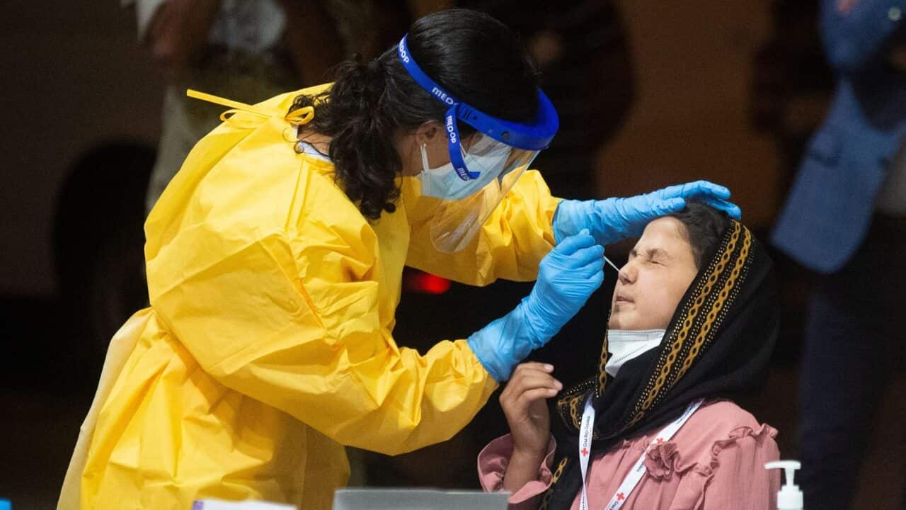 Image for read more article ''