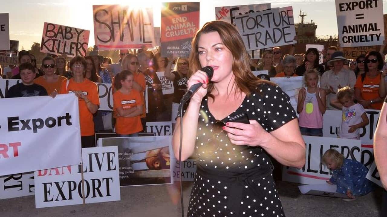 A file image of Senator Sarah Hanson-Young speaking at a protest.