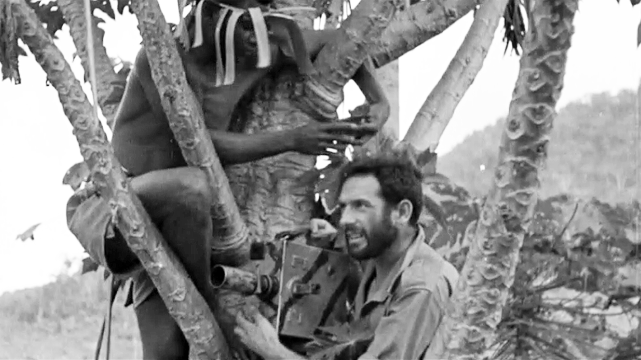 Australian war cameraman Damien Parer setting up his camera in a tree at Kokoda.