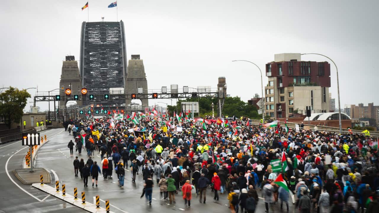 A large crowd of pro-Palestinian protesters marched across Sydney Harbour Bridge on a rainy day, carrying flags and signs.
