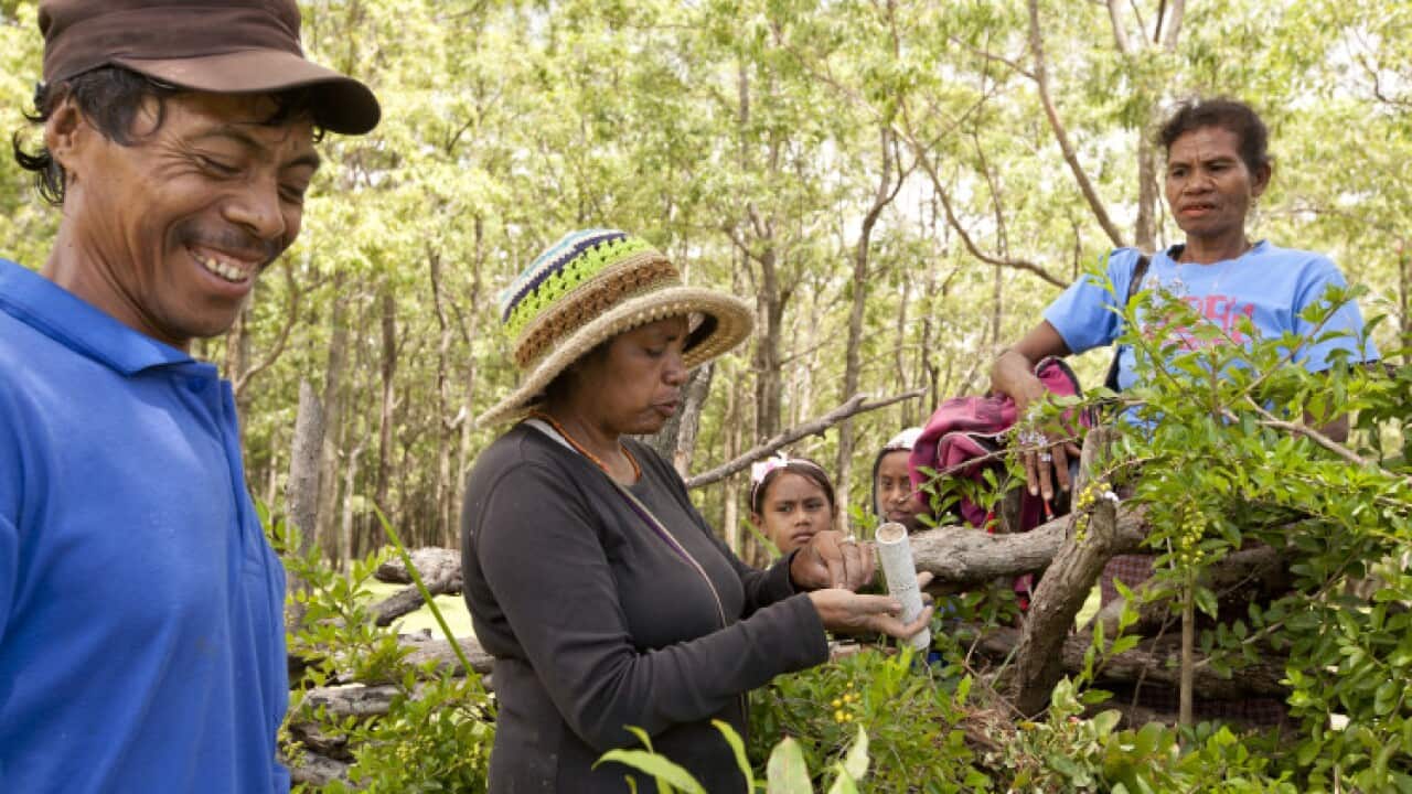The indigenous Mollo people’s survival is inextricably linked to natural resources, which are considered sacred. 