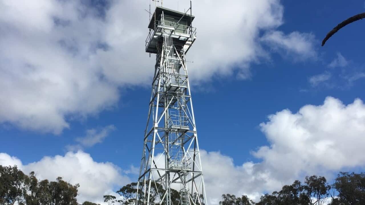 Image of fire tower (SBS)