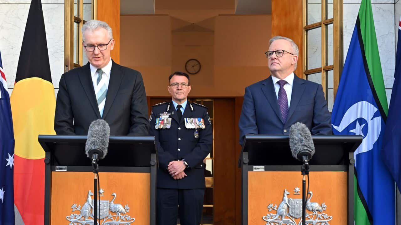 Albanese apologises over Bondi attack, as rules for visa cancellations revealed | SBS News