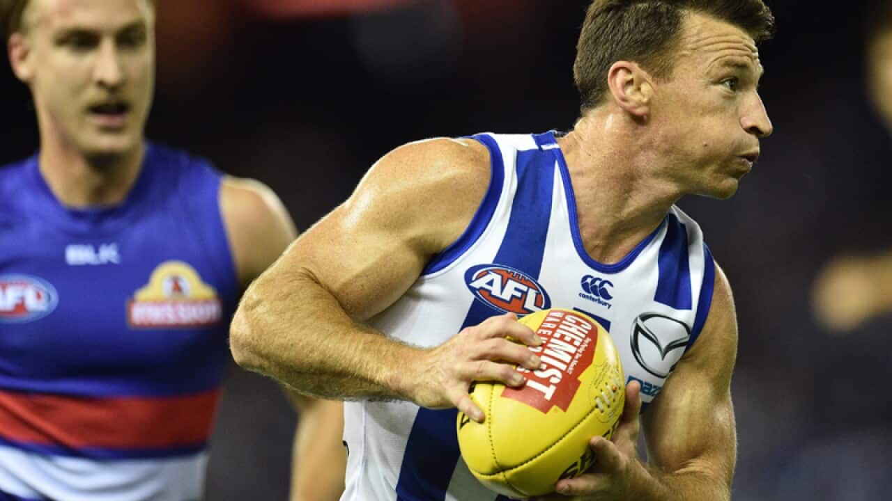 Brent Harvey of the Kangaroos