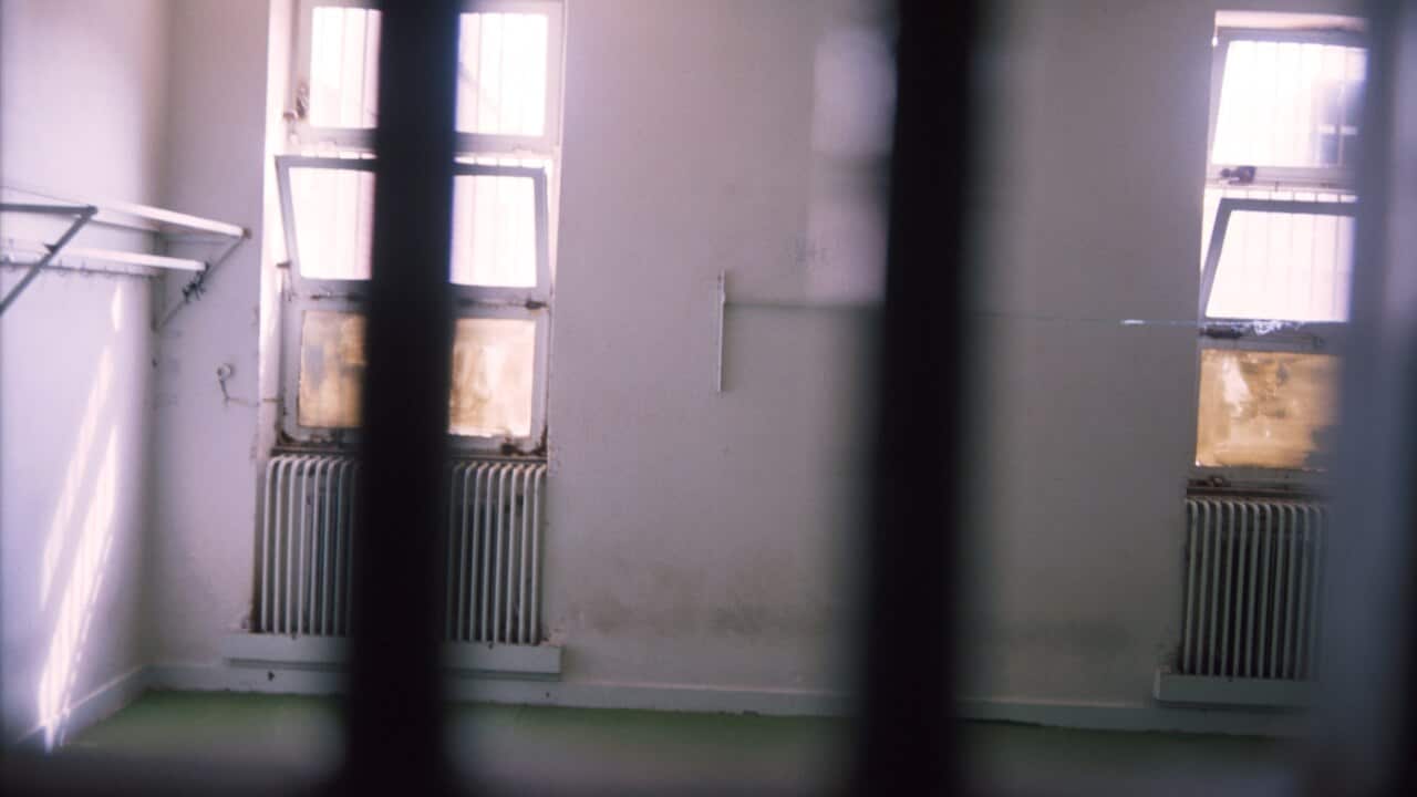 Image for read more article 'READ MORE'