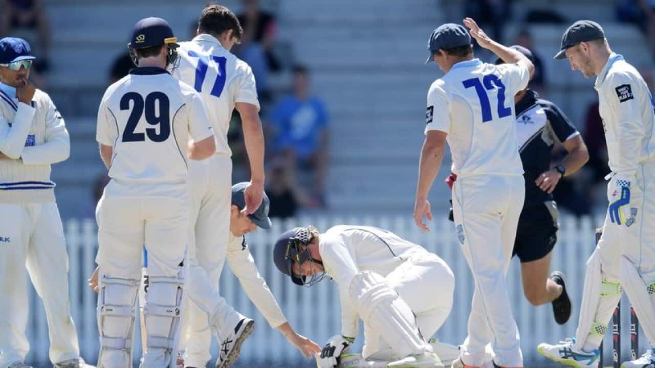 Will Pucovski of Victoria after getting hit by the ball.