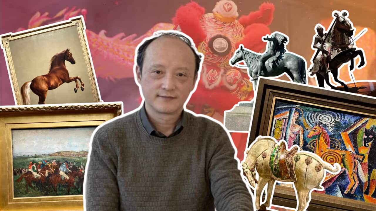 0210 马年说马头图 (1).png