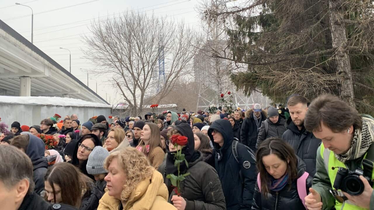 Alexei Navalny death