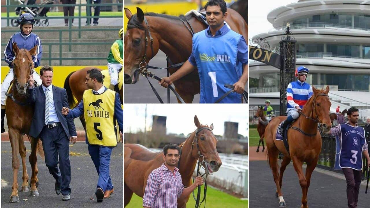 Melbourne Cup Punjabi.jpg