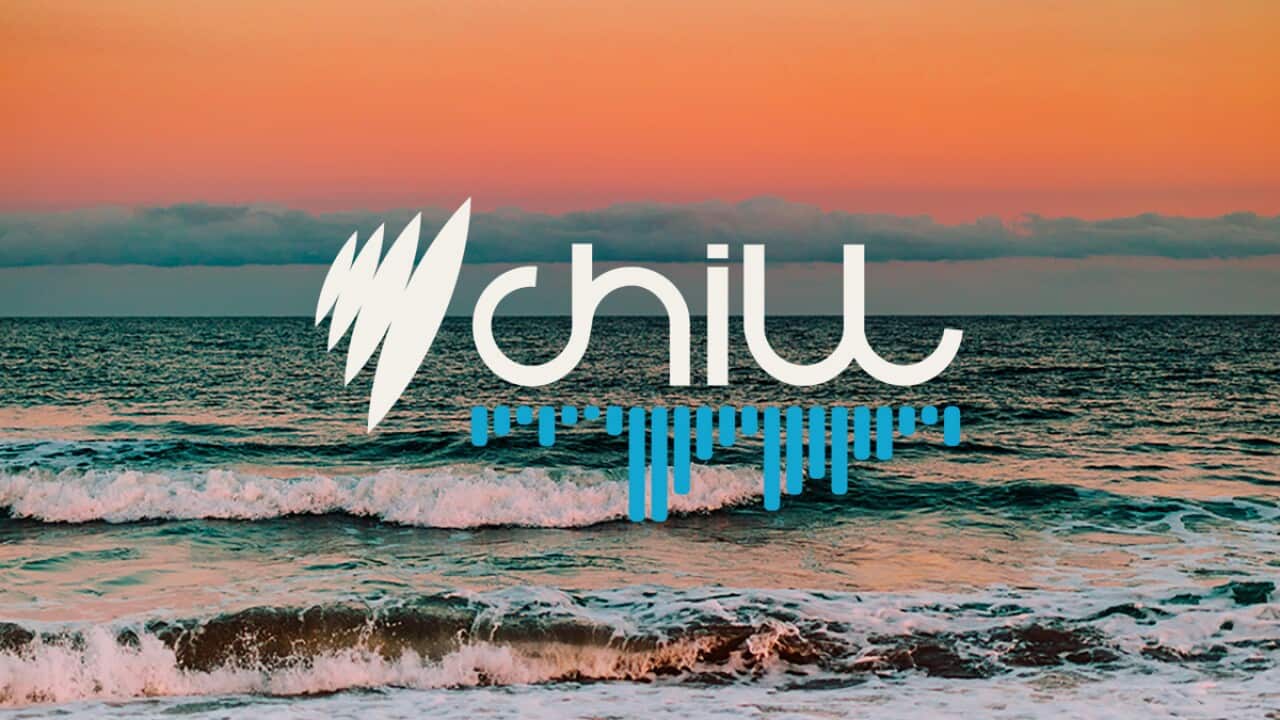 chillest 100 - article.jpg