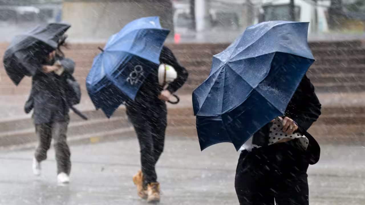 Three people walking in heavy rain by holding an umbrella each diagnalloy which also covers their faces as rain lashes out.