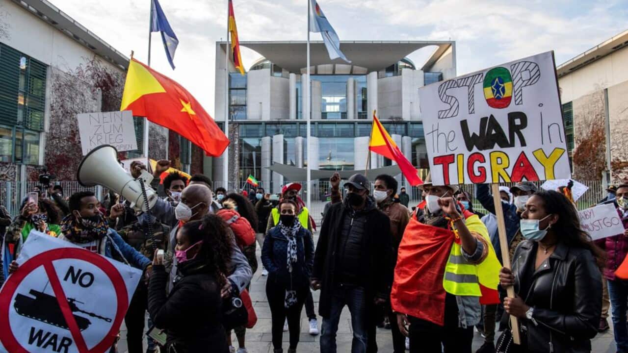 Pro-Tigrayan demonstrators in Germany