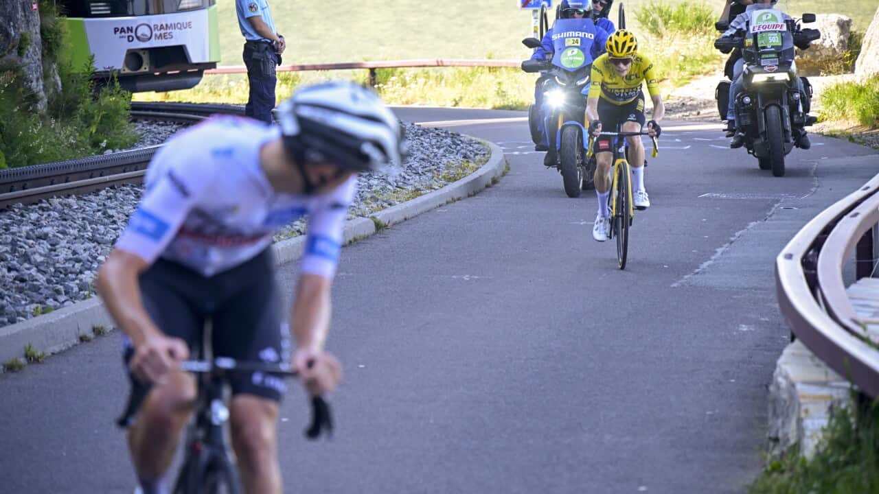 Image for read more article ''