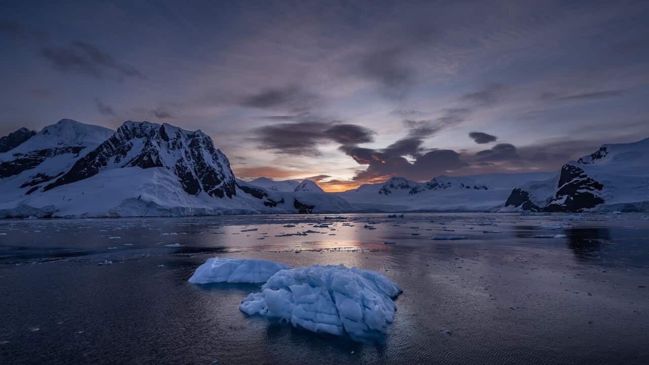 "Ice Continent" Antarctica melts at historic rates this year