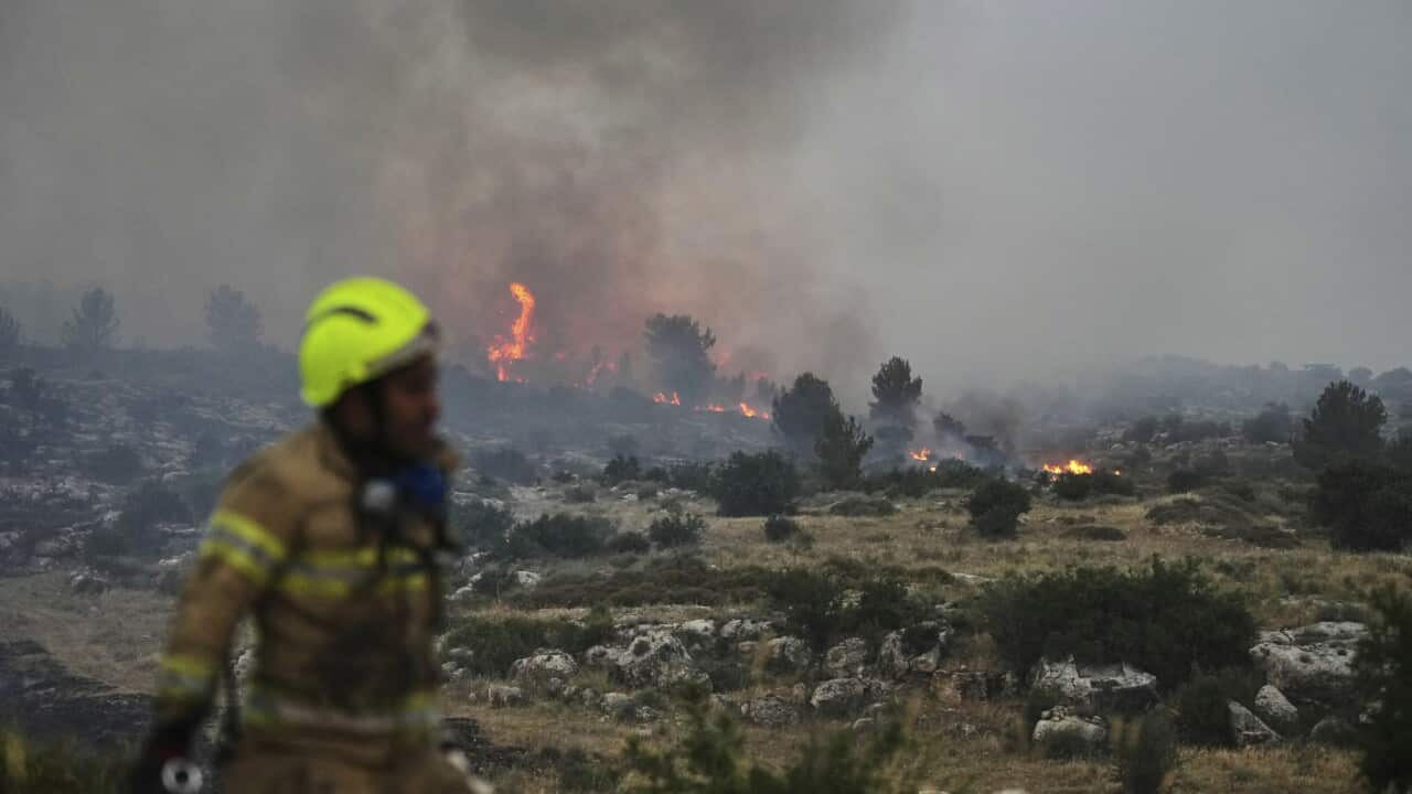 Israel Wildfires