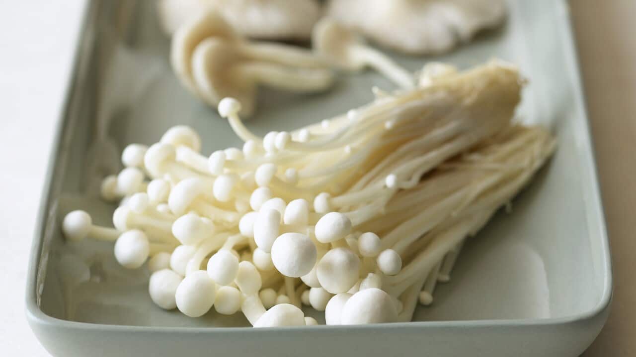 Food and Ingredients