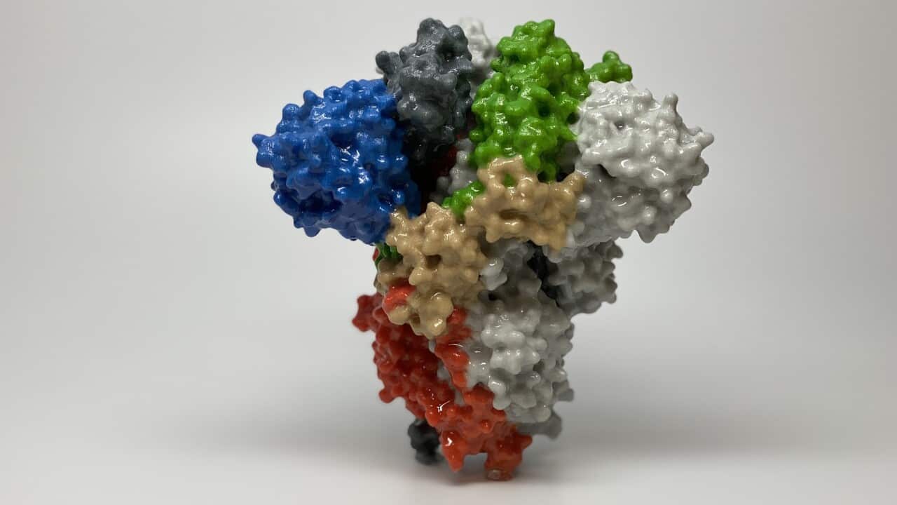 Novel coronavirus sars-cov-2 spike protein