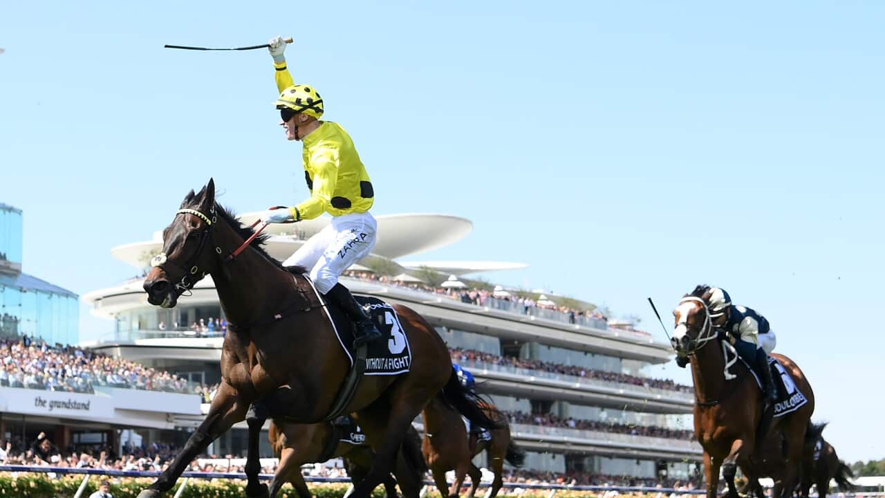 2023 Melbourne Cup - Without a Fight