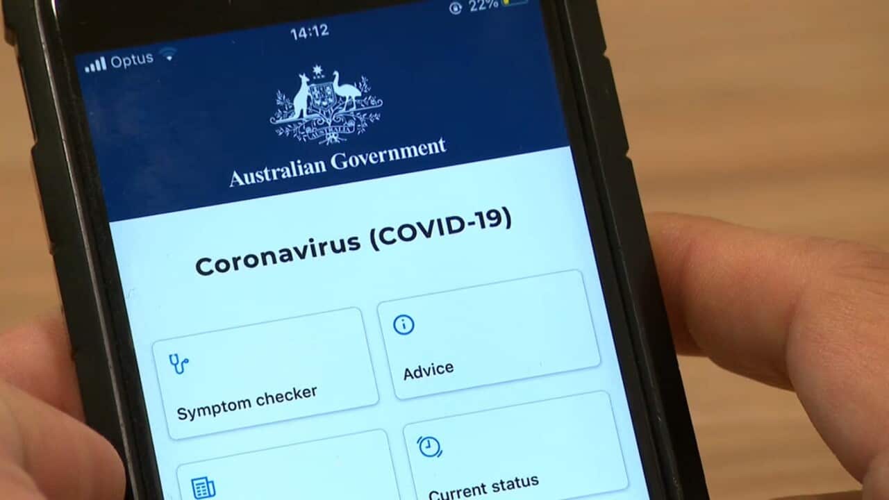 coronavirus, radio feature, COVID-19,