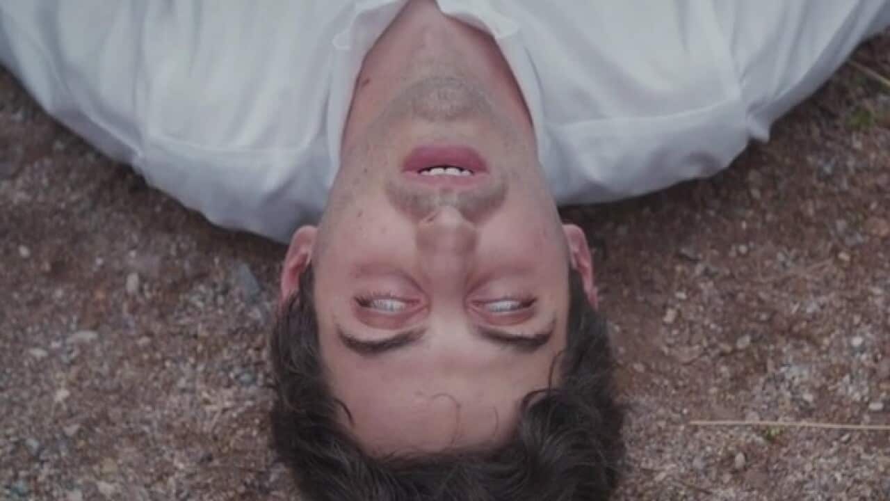 Hamilton Morris