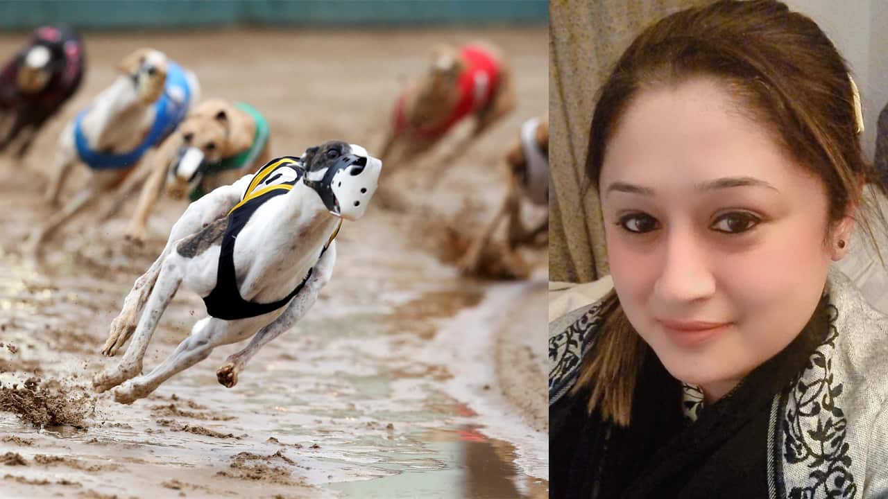 The animal welfare advocates are calling for a complete ban on greyhound racing.
