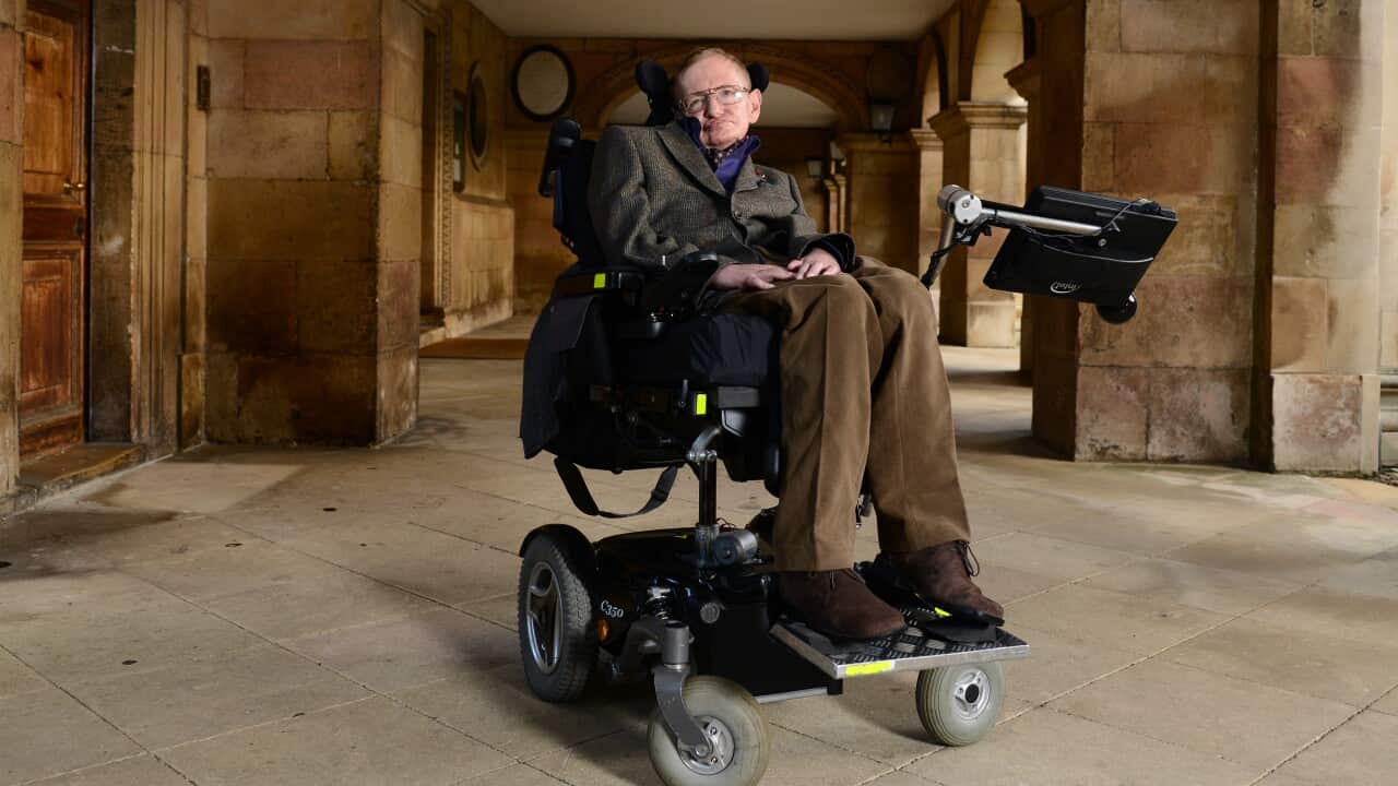 Professor Stephen Hawking attends a screening of "Hawking" on the opening night of the Cambridge Film Festival. September 19, 2013