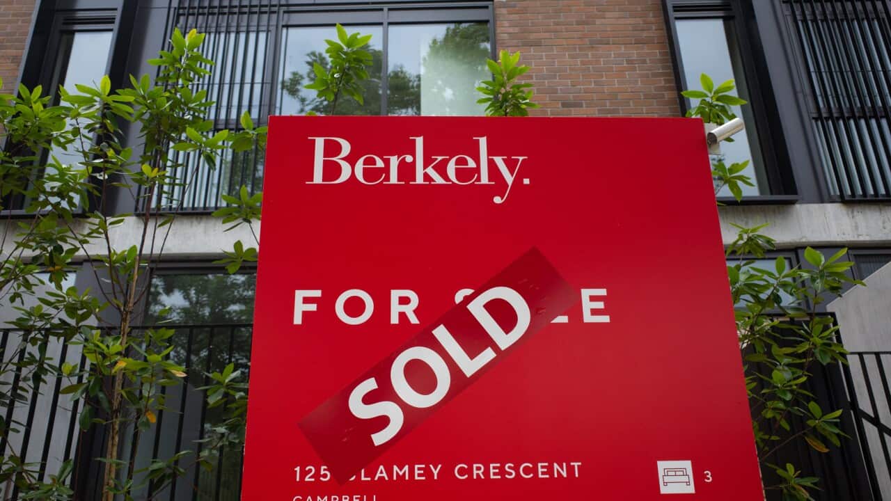 Image for read more article 'READ MORE'