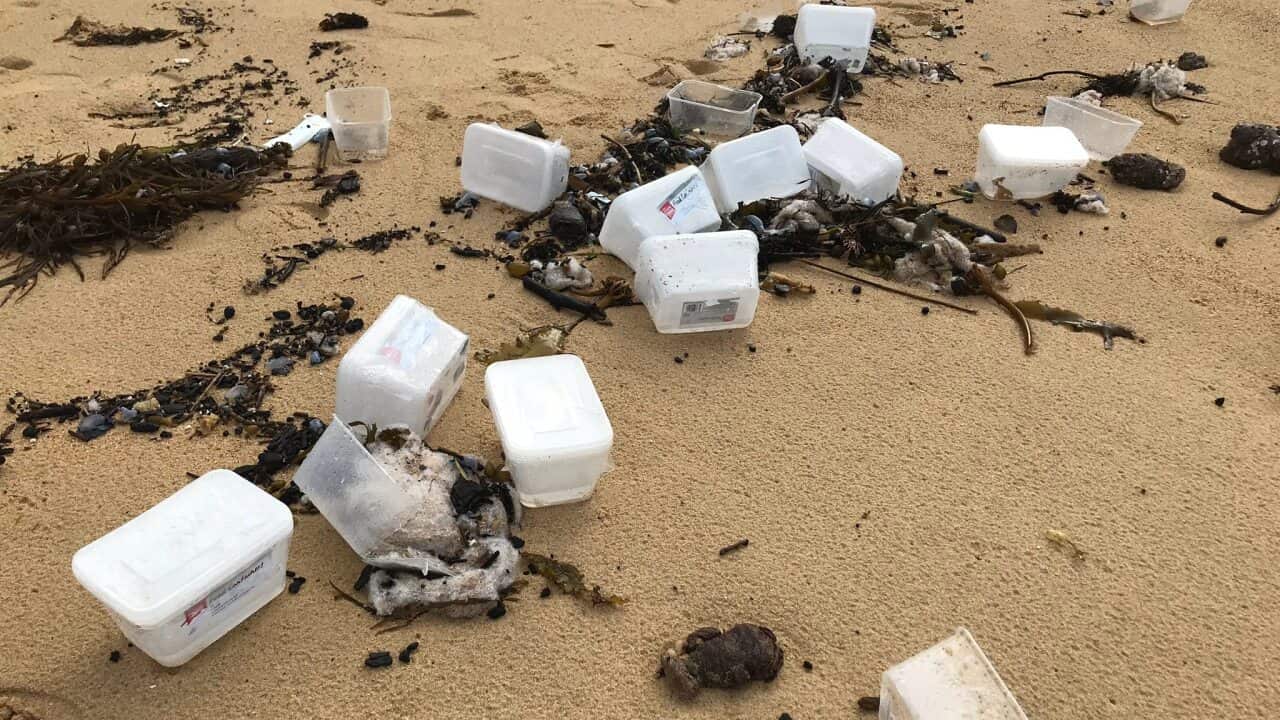 Image for read more article ''