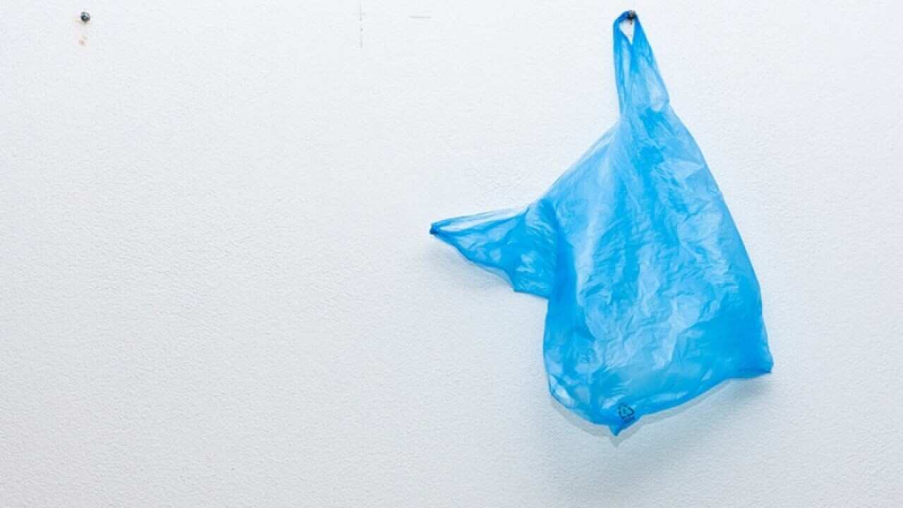 Plastikmüll